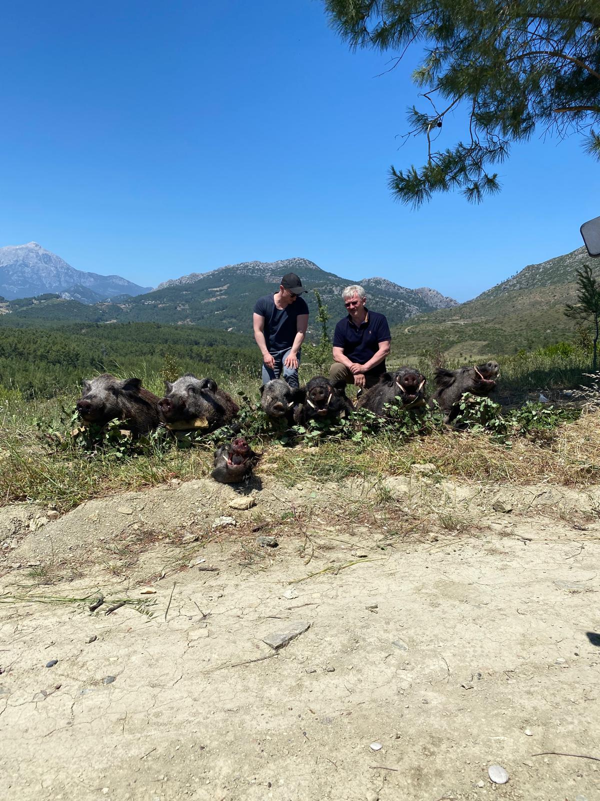Trophy wild boar hunting experience in Türkiye